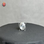 خرید شیر یکطرفه دیسکی 1 اینچی DN 25