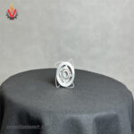 خرید شیر یکطرفه دیسکی 1.1/4 اینچی DN32