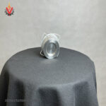 قیمت شیر یکطرفه دیسکی 2.1/2 اینچی DN65