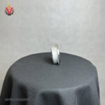 مشخصات شیر یکطرفه دیسکی 2 اینچی DN50